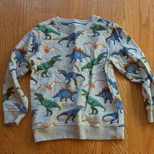 H&M Dinosaur Sweatshirt